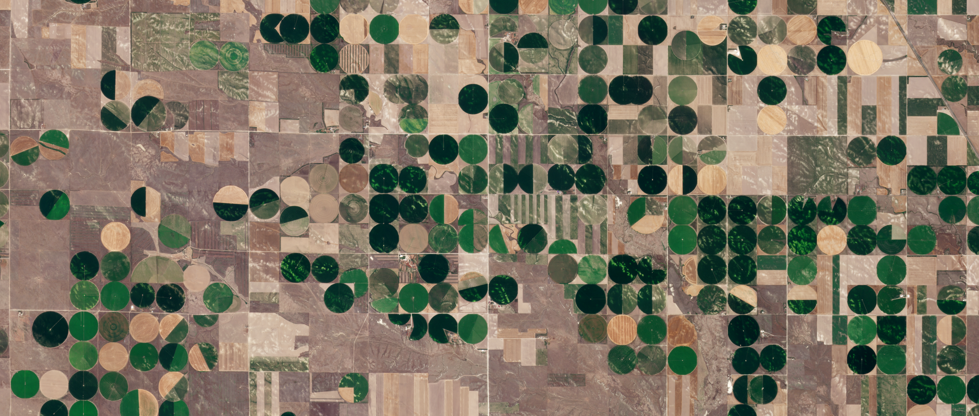 Seeing Signal Through the Noise: Using Satellite Data Time Series for Agriculture