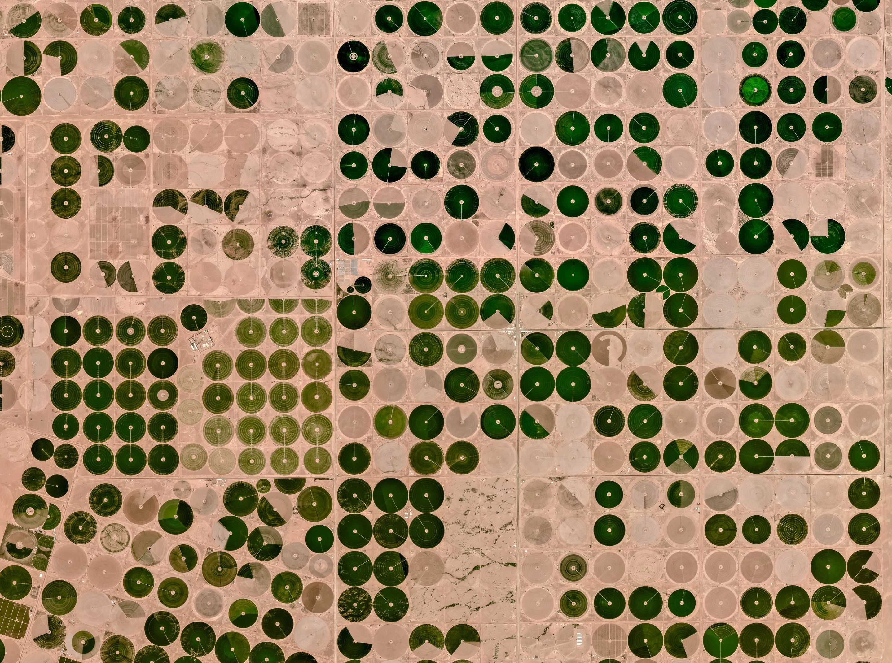 Seeing Signal Through the Noise: Scaling Biophysical Insights for Agriculture