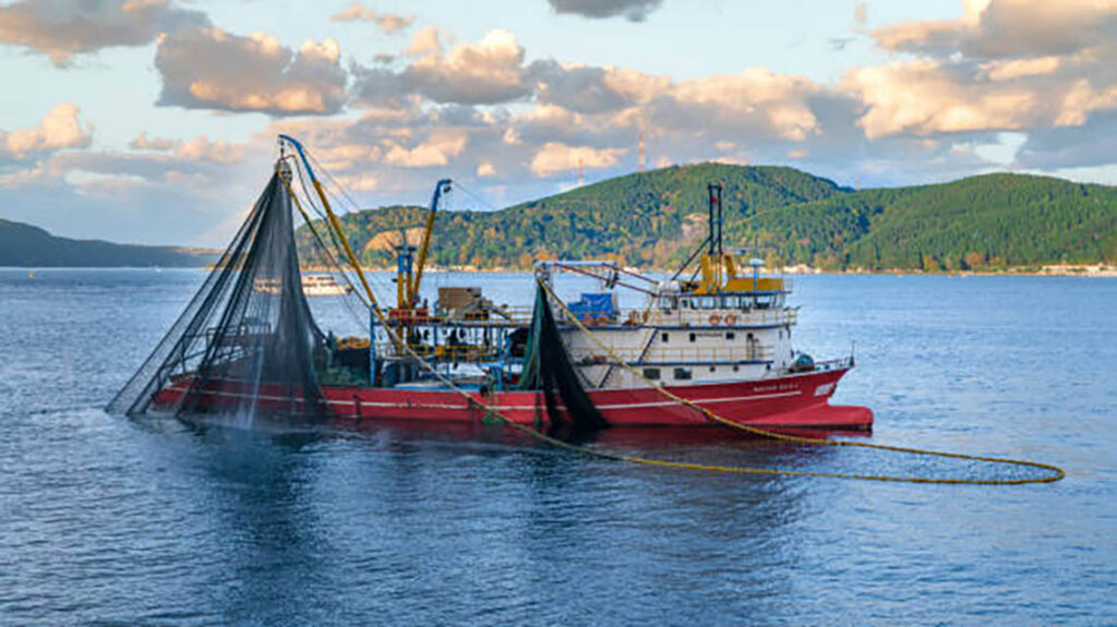 Ground Control Deploys RockFLEET for Large-Scale Turkish Fisheries VMS Program